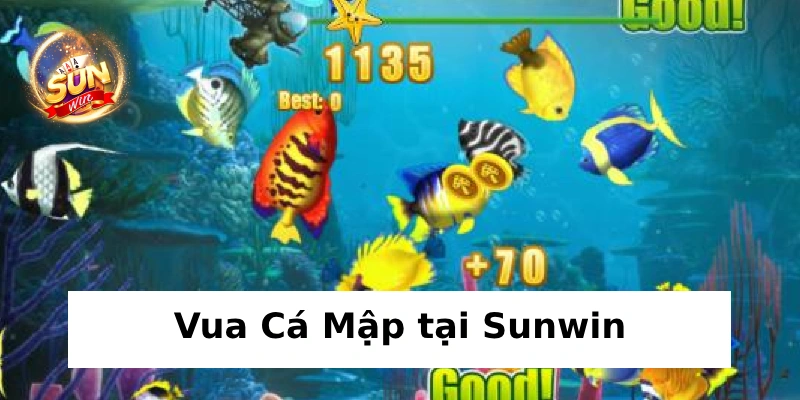 Cược Vua Cá Mập tại Sunwin